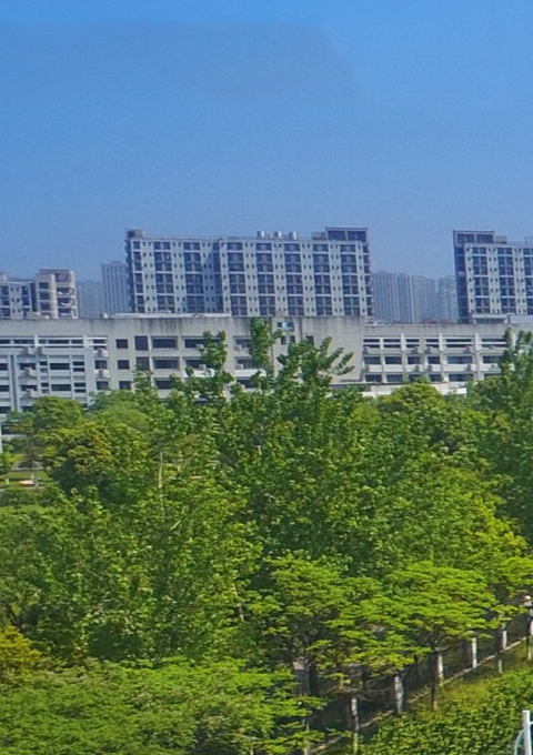 全部案例