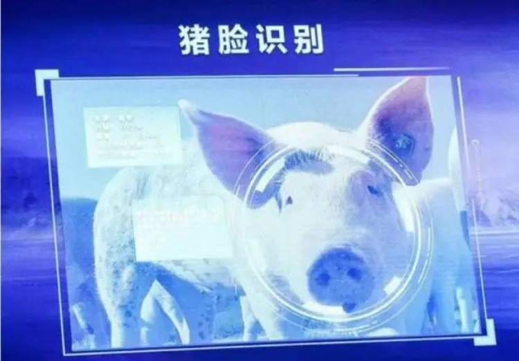 探寻AI时代智慧农业新未来！2024年生物光学与智慧农业国际论坛在广州召开(图3)