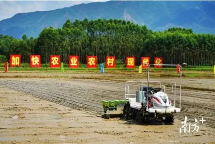 探寻AI时代智慧农业新未来！2024年生物光学与智慧农业国际论坛在广州召开(图5)