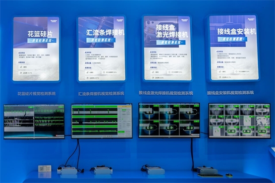 “AI+视觉”突破新场景维视智造亮相SNEC2024(图3)