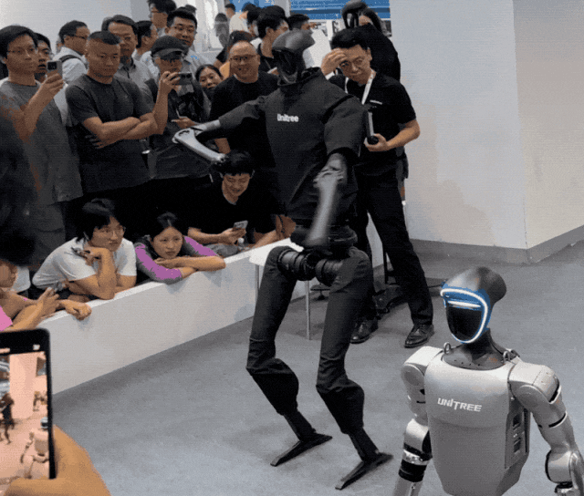 人形机器人热潮与冷思考｜实探2024世界机器人大会(图5)