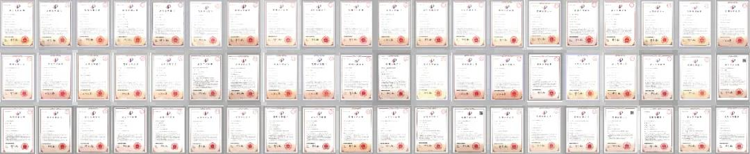 王力安防智能制造领跑行业 开启智能门锁“高品低价”新阶段(图2)