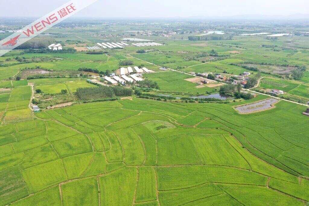 九游娱乐：温氏上市十年的故事：实业为基资本为翼——写于温氏股份上市十周年之际(图5)
