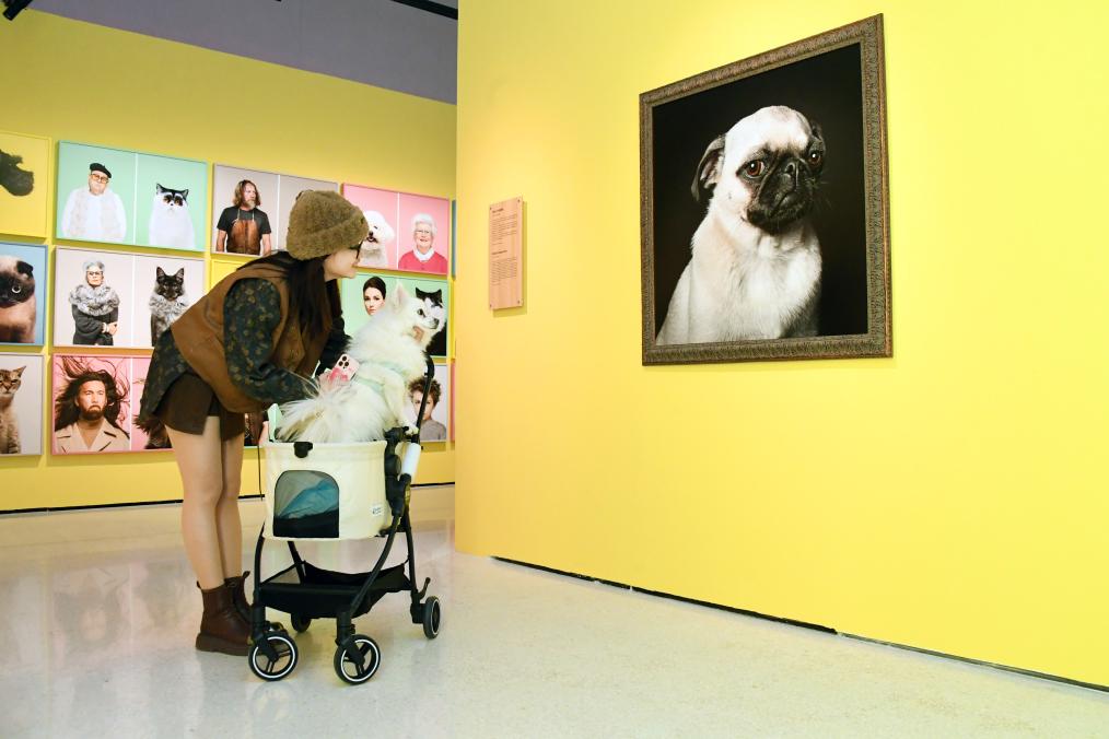 九游娱乐：人工智能助力中国“它经济”宠物产业藏巨大消费潜力(图2)