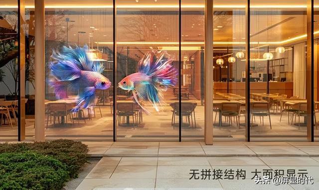 九游娱乐文化：定义空间的光显魔法师洲明全息显示开辟崭新沉浸式视觉时代(图3)