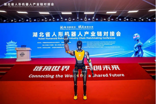 2025年武汉市人工智能十大创新产品揭晓！(图11)