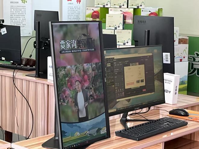 九游娱乐文化：AI赋能乡村振兴：烟台市桃村镇贾家沟村智慧农业发展的案例研究(图7)