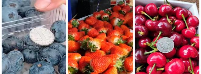 九游娱乐文化：AI赋能乡村振兴：烟台市桃村镇贾家沟村智慧农业发展的案例研究(图8)